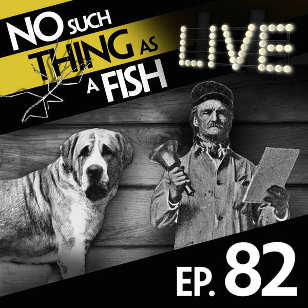 82: No Such Thing As A Sentient Iceberg