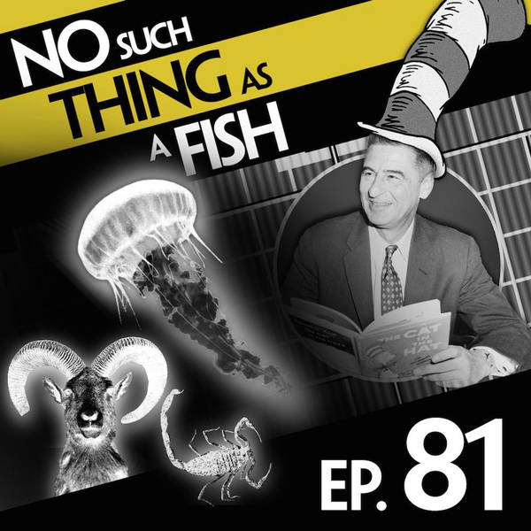 81: No Such Thing As Jellyfish Jelly