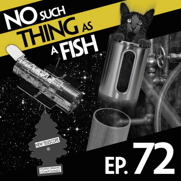 72: No Such Thing As A Bacon Telescope