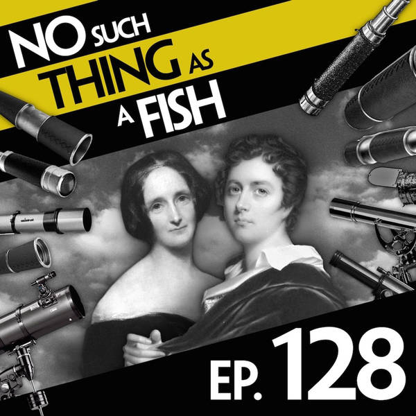 No Such Thing As A Million Dollar Bill