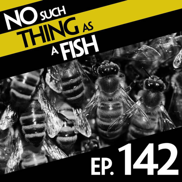 No Such Thing As Edward Binbag-Hands