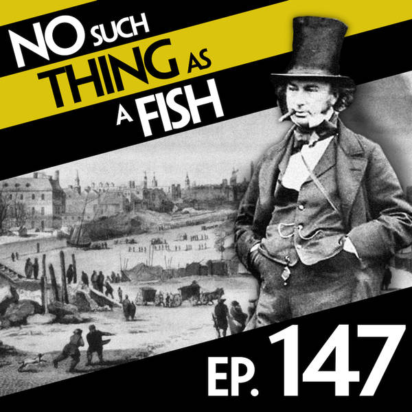 No Such Thing As Burrito Party Boy