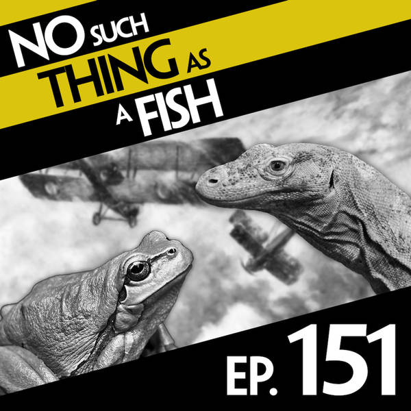 No Such Thing As A Komodo Dragon Restaurant