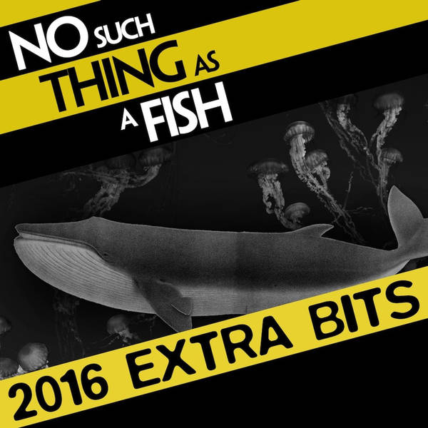 No Such Thing As A Fish - Extra Bits