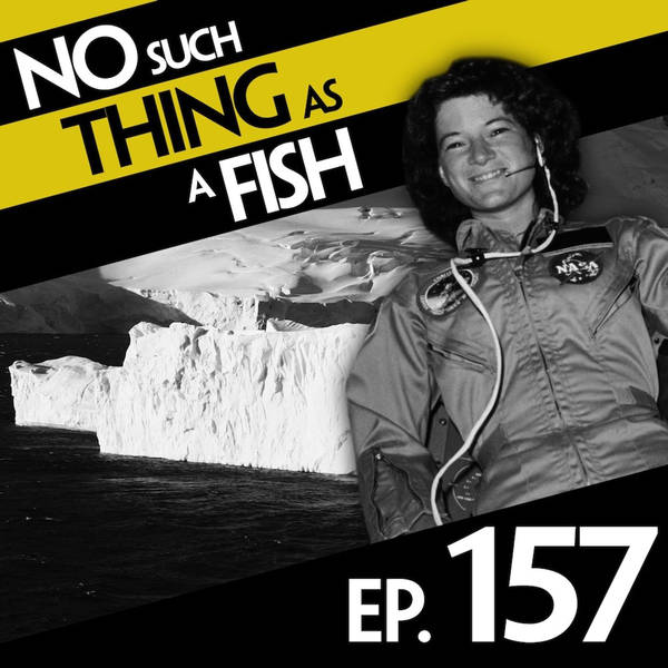 157: No Such Thing As High-Fiving The Beatles