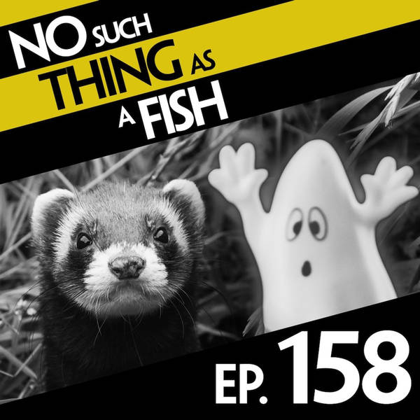 158: No Such Thing As A Weasel's Fridge