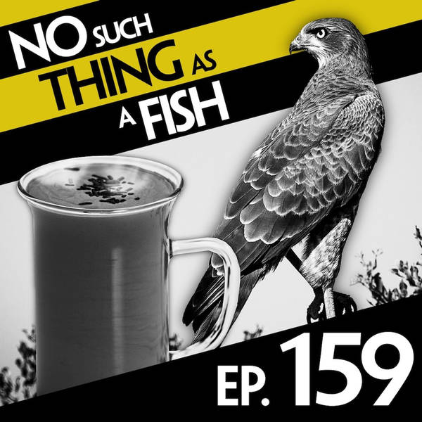 No Such Thing As An Edible Jockey