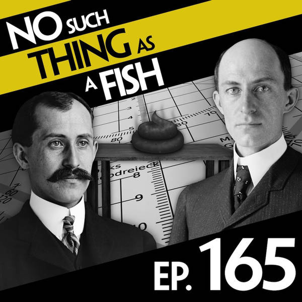 No Such Thing As A Spider The Size Of A Sheep