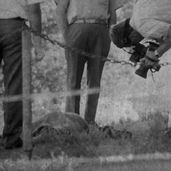 Felon - S2E4 - Tracey Wigginton