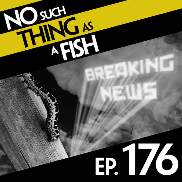 No Such Thing As A Communist Caterpillar