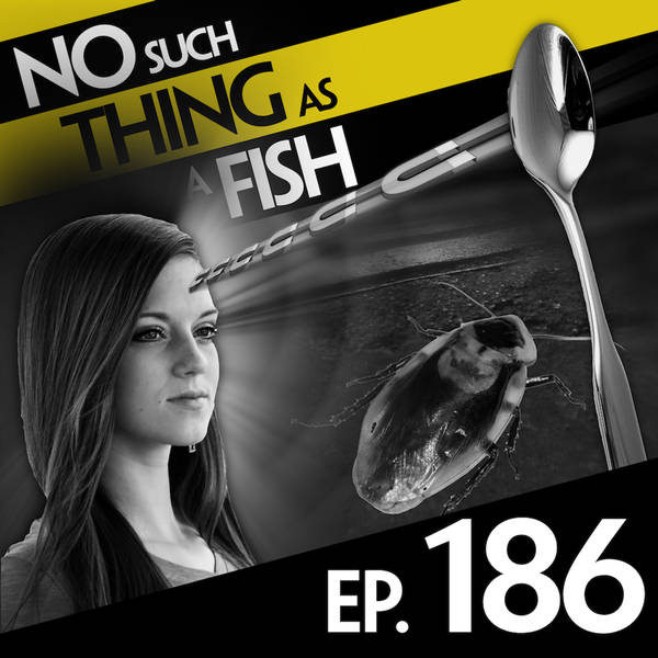 No Such Thing As Russian Hacking in the Cockroach Election