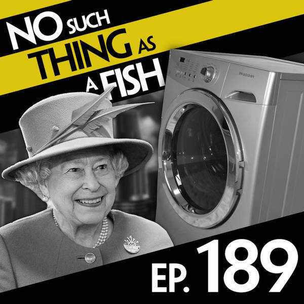 No Such Thing As A Meringue-Utan