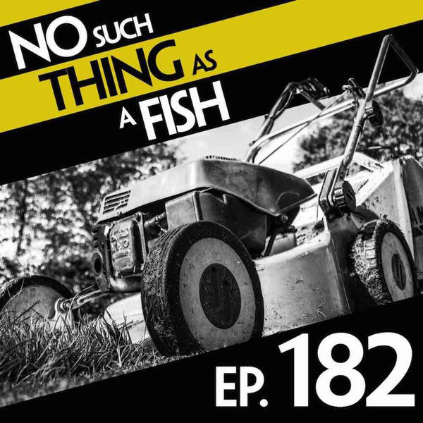 No Such Thing As An Auction For Auction School