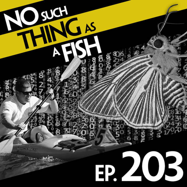 203: No Such Thing As A Muscular Butterfly