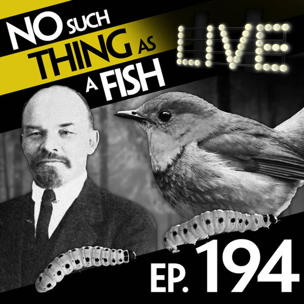 No Such Thing As An Orange Crocodile