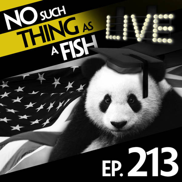 213: No Such Thing As Panda Gladiators