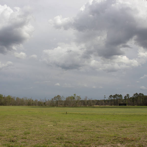 State v. Pamela Lanier – Addendum 3 – Iatrophobia