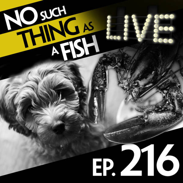 216: No Such Thing As A Lobster War