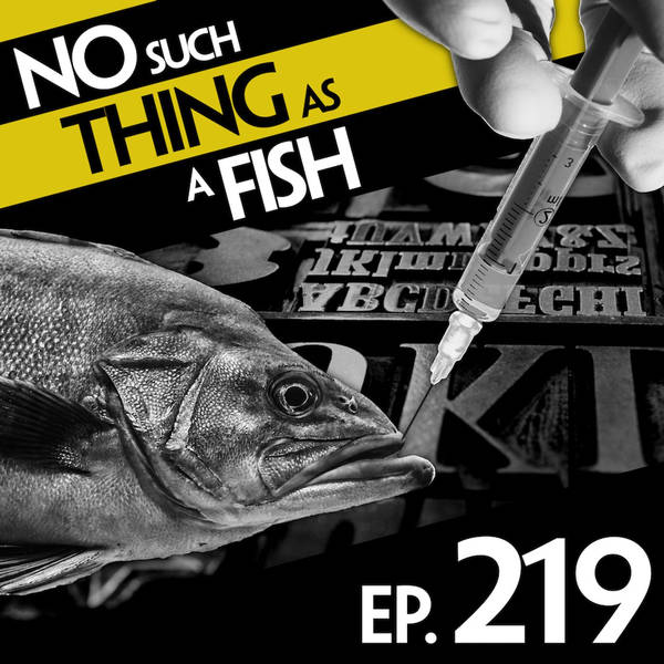 No Such Thing As Jeremiah Wingdings