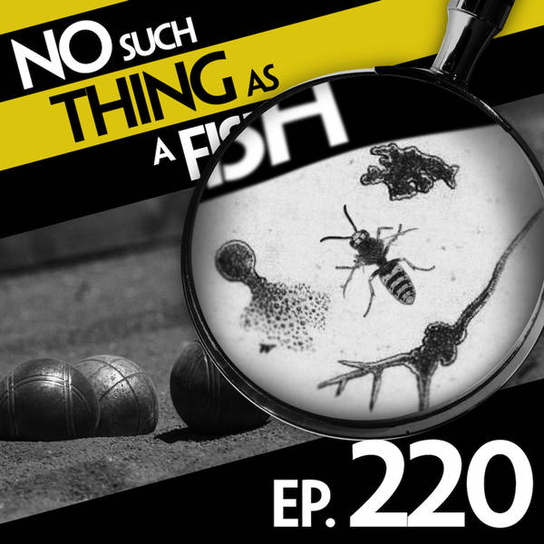 No Such Thing As A Million Dots