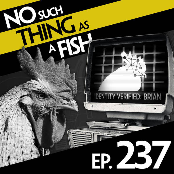 237: No Such Thing As A Closed-Minded Tortoise