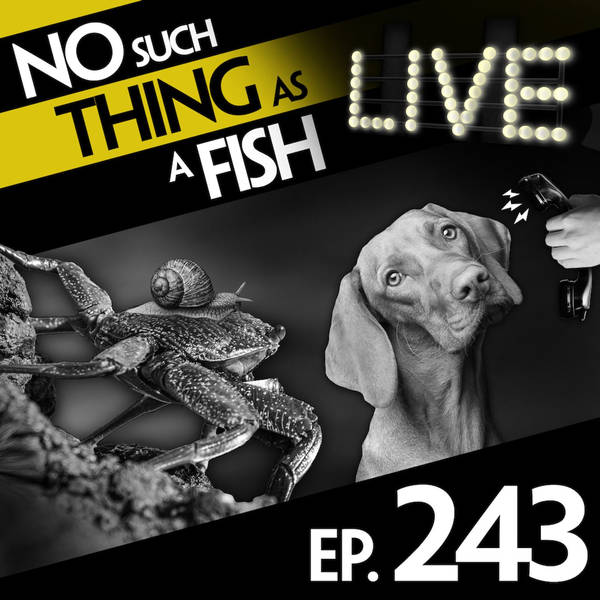 243: No Such Thing As Jean-Paul Sartre's Crabs