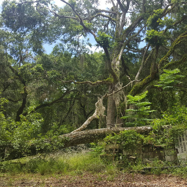 S3, The State v. Dennis Perry - Episode 1 – Rising Daughter