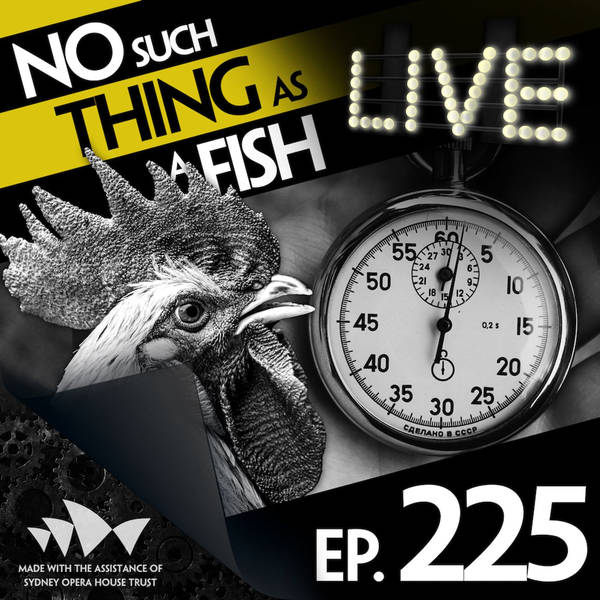 No Such Thing As An Interesting Riddle