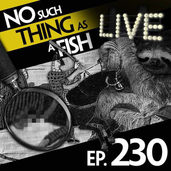 230: No Such Thing As Tinder For Sloths