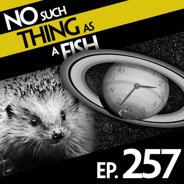 No Such Thing As A Squilkman