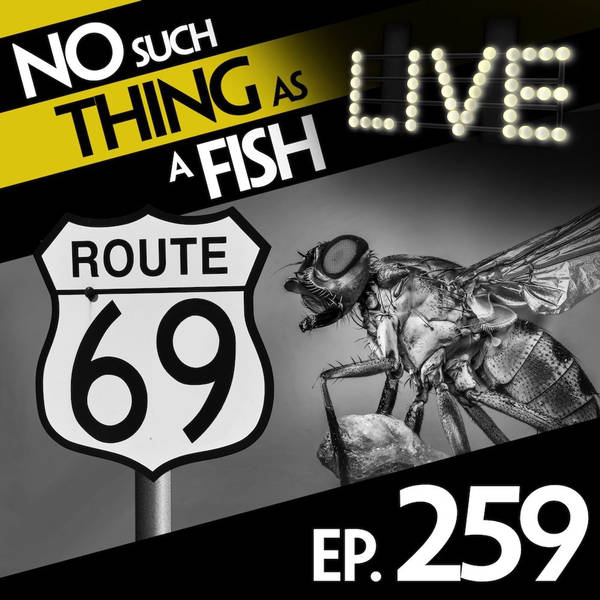 No Such Thing As Flyagra