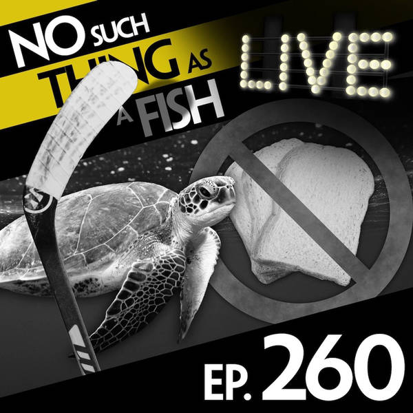 No Such Thing As A Giant War Sausage