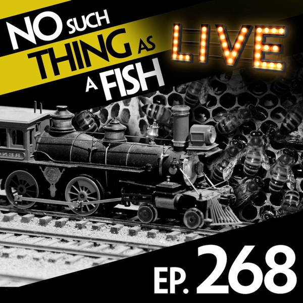 No Such Thing As Welsh Guinness