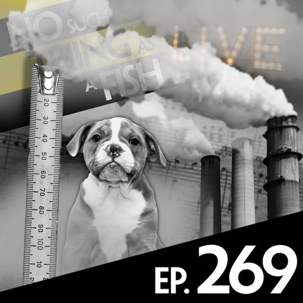 No Such Thing As Singing The Sport