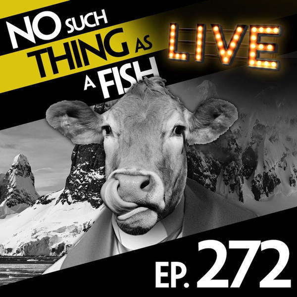 272: No Such Thing As A  Non-Judgemental Herring