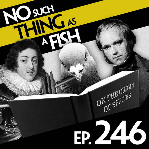 246: No Such Thing As The Worm Revolution