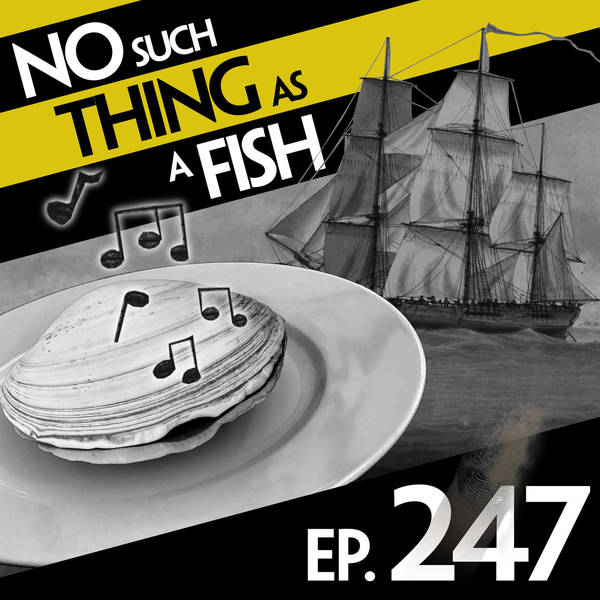 247: No Such Thing As Footprints On The Sea
