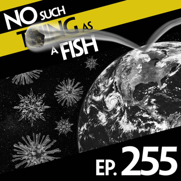 No Such Thing As A Bouncy Asteroid