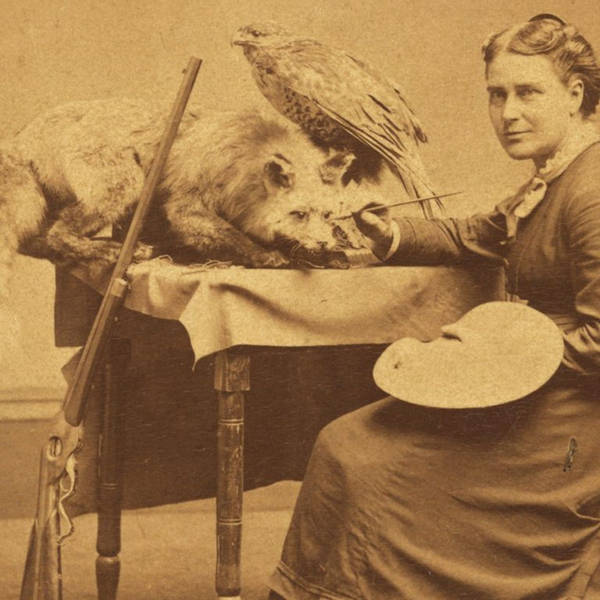 257: Stuffed: Taxidermy in the History of America