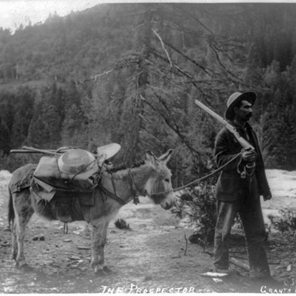 229: All that Glitters? Legacies of the California Gold Rush