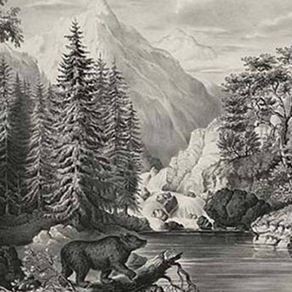 133: Untrammeled: Americans and the Wilderness