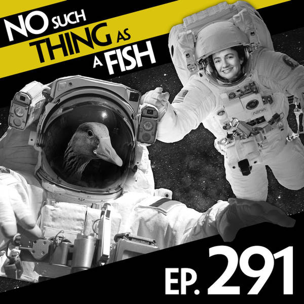 291: No Such Thing As A Quintruple-Cooked Chip