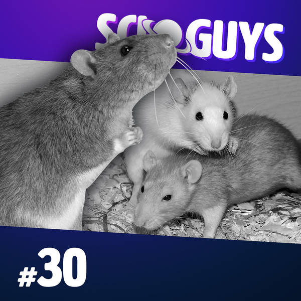30: Rat Utopia