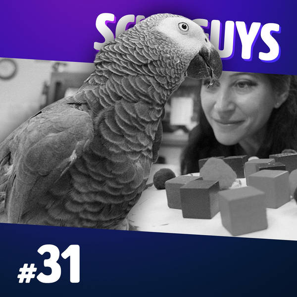 31: Talking Animals