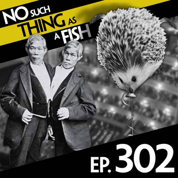 302: No Such Thing As A Hedgehog Circus