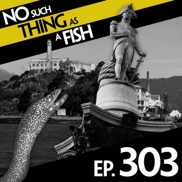 S1 Ep303: No Such Thing As Suckling's Column