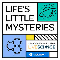 Life's Little Mysteries image