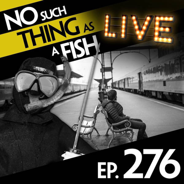 No Such Thing As A Ninja With A Cat