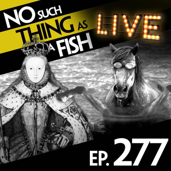 No Such Thing As An Elephant Polo Rider In A Sombrero