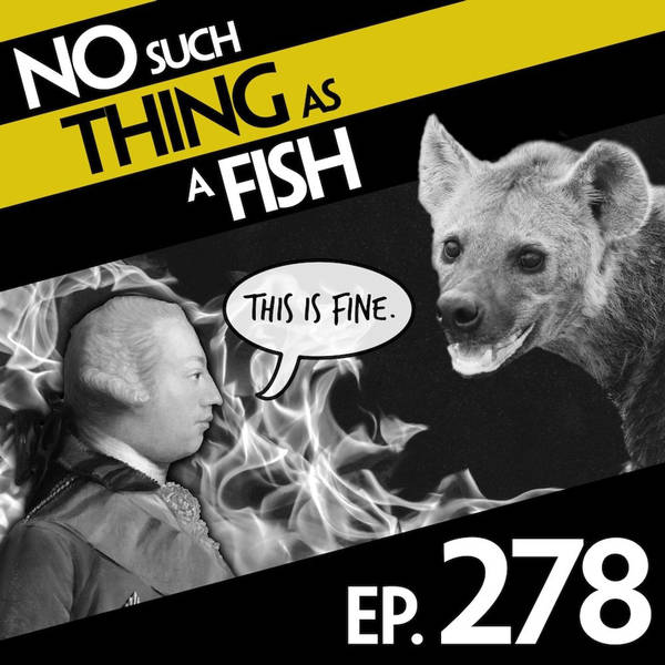 No Such Thing As A Herring-Okapi Hybrid